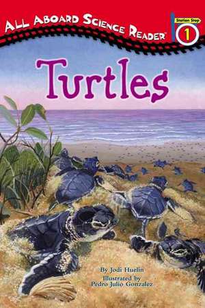 Turtles de Jodi Huelin