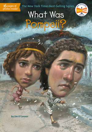 What Was Pompeii? de Jim O'Connor