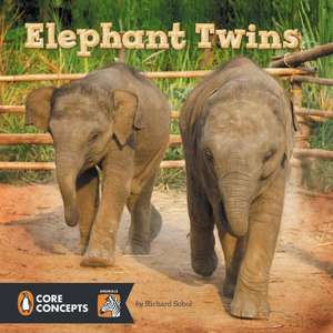 Elephant Twins de Richard Sobol