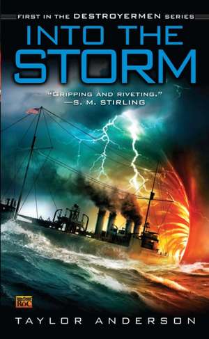 Into the Storm de Taylor Anderson