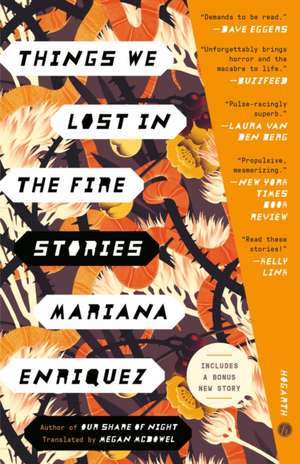 Things We Lost in the Fire de Mariana Enriquez