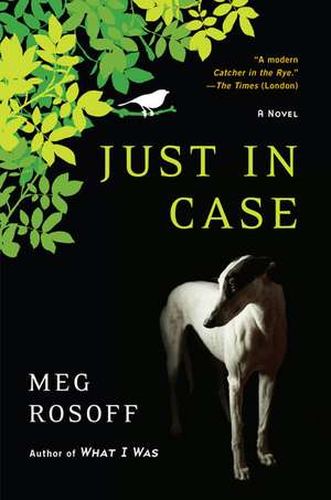 Just in Case de Meg Rosoff