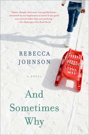 And Sometimes Why de Rebecca Johnson