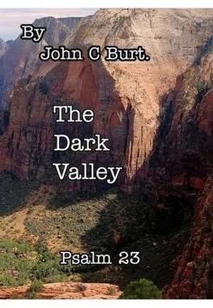 DARK VALLEY de John C Burt