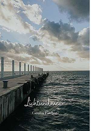 Lichtundmeer de Carolin Fischer