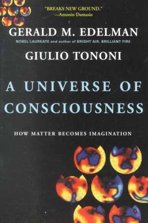 A Universe Of Consciousness How Matter Becomes Imagination: How Matter Becomes Imagination de Gerald Edelman