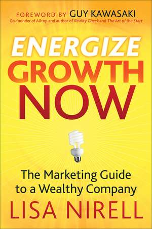 Energize Growth NOW – The Marketing Guide to a Wealthy Company de L Nirell