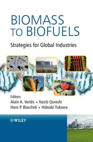 Biomass to Biofuels – Strategies for Global Industries de AA Vertes