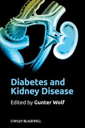 Diabetes and Kidney Disease de G Wolf