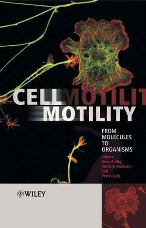Cell Motility de Anne Ridley