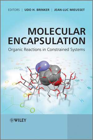 Molecular Encapsulation de Udo H Brinker