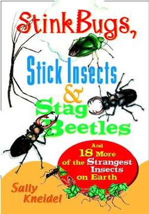 Stinkbugs, Stick Insects & Stag Beetles – And 18 More of the Strangest Insects on Earth de S Kneidel