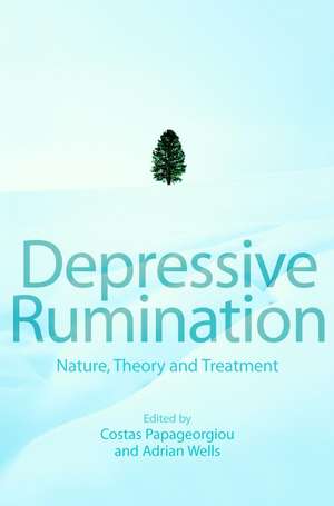 Depressive Rumination – Nature, Theory and Treatment de C Papageorgiou