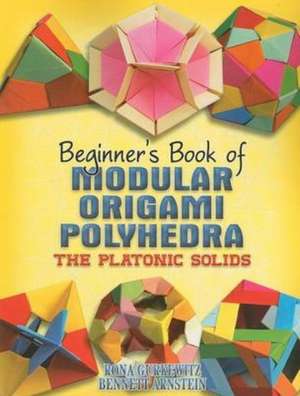 Beginner's Book of Modular Origami Polyhedra: The Platonic Solids de Rona Gurkewitz