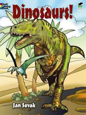 Sovak, J: Dinosaurs! Coloring Book