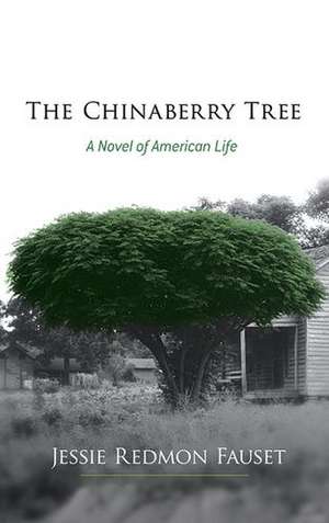 The Chinaberry Tree: A Novel of American Life de Jessie Redmon Fauset