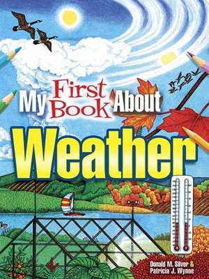 My First Book about Weather de Patricia J. Wynne