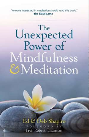 The Unexpected Power of Mindfulness and Meditation de Ed Shapiro