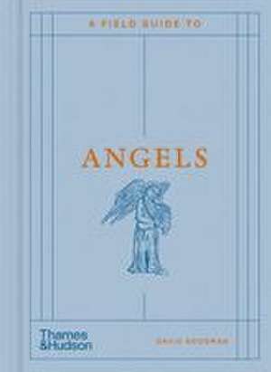 A Field Guide to Angels de David Goodman