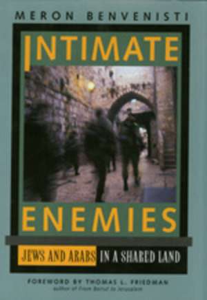 Intimate Enemies – Jews & Arabs in a Shared Land de Meron Benvenisti