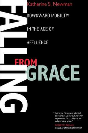 Falling From Grace – Downward Mobility in the Age of Affluence de Katherine S Newman