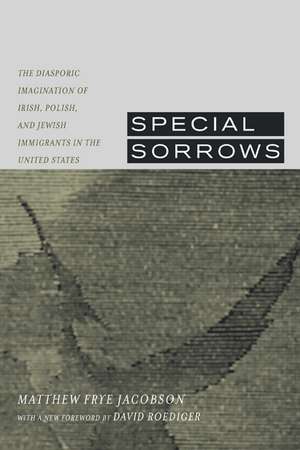 Special Sorrows – Diasporic Imagination of Irish, Polish, & Jewish Immigrants in the United States de Matthew Frye Jacobson