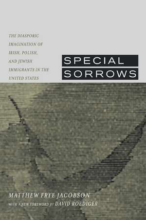 Special Sorrows de Matthew Frye Jacobson