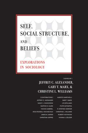 Self, Social Structure and Beliefs – Explorations in Sociology de Jeffrey C Alexander