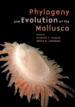 Phylogeny and Evolution of the Mollusca de Winston F Ponder