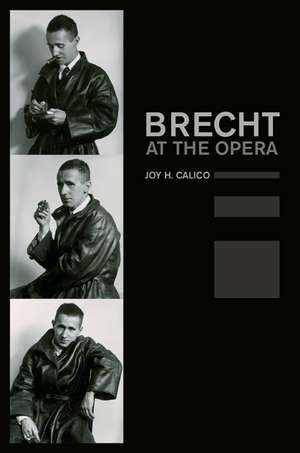 Brecht at the Opera de Joy H. Calico