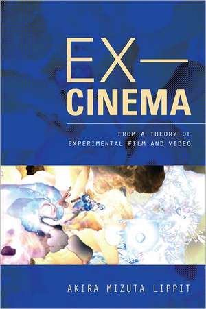 Ex–Cinema – From a Theory of Experimental Film and Video de Akira Mizuta Lippit