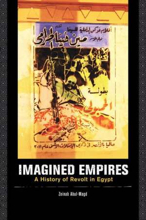 Imagined Empires de Zeinab Abul-Magd