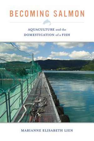 Becoming Salmon – Aquaculture and the Domestication of a Fish de Marianne Elisab Lien