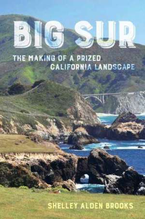 Big Sur – The Making of a Prized California Landscape de Shelley Brooks