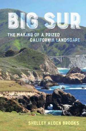 Big Sur de Shelley Alden Brooks