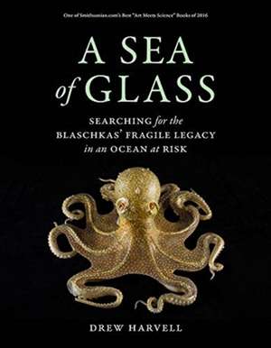 A Sea of Glass – Searching for the Blaschkas` Fragile Legacy in an Ocean at Risk de Drew Harvell