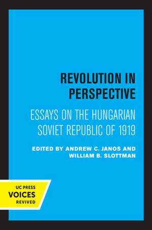 Revolution in Perspective – Essays on the Hungarian Soviet Republic de Andrew C. Janos