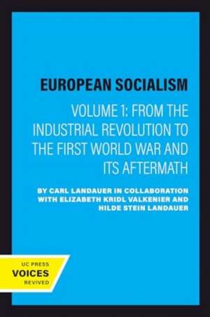 European Socialism, Volume I de Carl Landauer