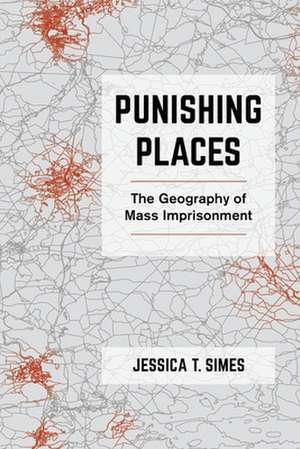 Punishing Places – The Geography of Mass Imprisonment de Jessica T. Simes