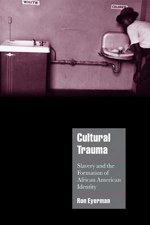 Cultural Trauma: Slavery and the Formation of African American Identity de Ron Eyerman