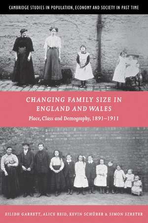 Changing Family Size in England and Wales: Place, Class and Demography, 1891–1911 de Eilidh Garrett