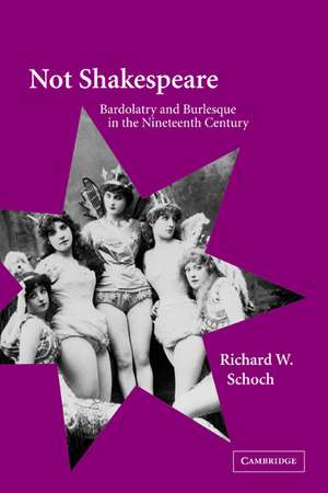 Not Shakespeare: Bardolatry and Burlesque in the Nineteenth Century de Richard W. Schoch