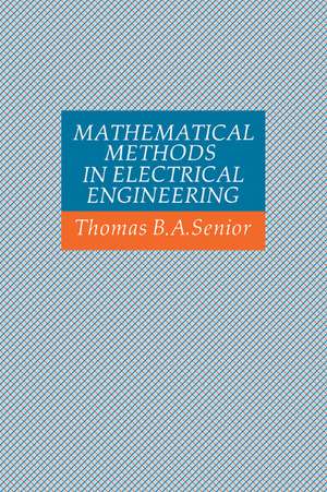 Mathematical Methods in Electrical Engineering de Thomas B. A. Senior