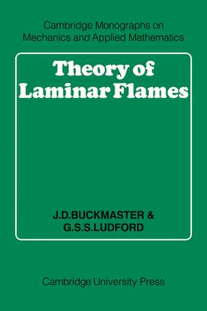 Theory of Laminar Flames de J. D. Buckmaster