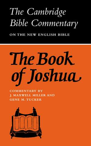 The Book of Joshua de J. Maxwell Miller