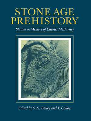 Stone Age Prehistory: Studies in Memory of Charles McBurney de G. N. Bailey