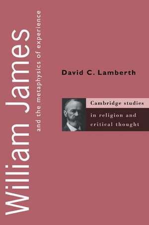 William James and the Metaphysics of Experience de David C. Lamberth