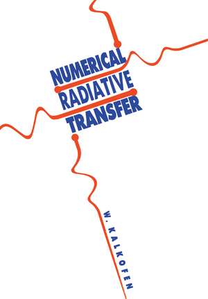 Numerical Radiative Transfer de Wolfgang Kalkofen