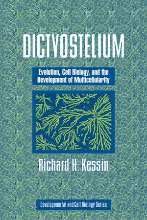 Dictyostelium: Evolution, Cell Biology, and the Development of Multicellularity de Richard H. Kessin