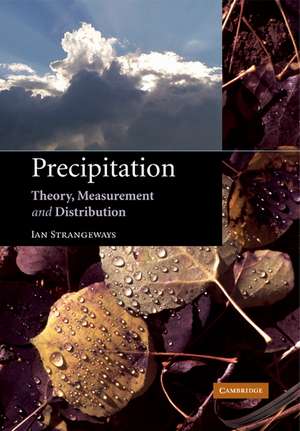 Precipitation: Theory, Measurement and Distribution de Ian Strangeways